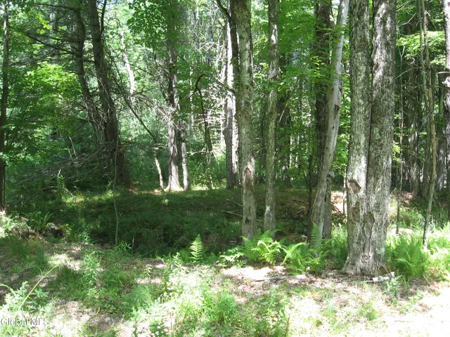 $640,000 | 1260 Valentine Pond Road, Horicon, NY 12808