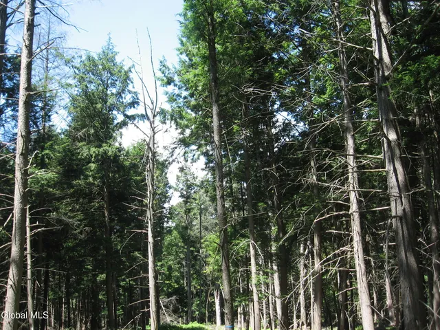 $640,000 | 1260 Valentine Pond Road, Horicon, NY 12808