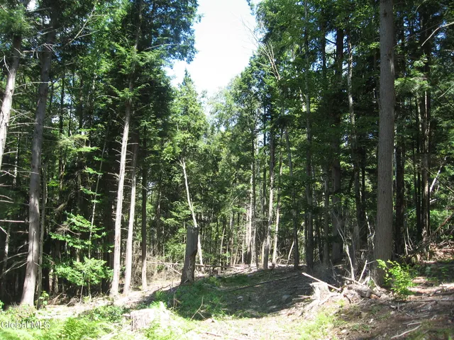 $640,000 | 1260 Valentine Pond Road, Horicon, NY 12808