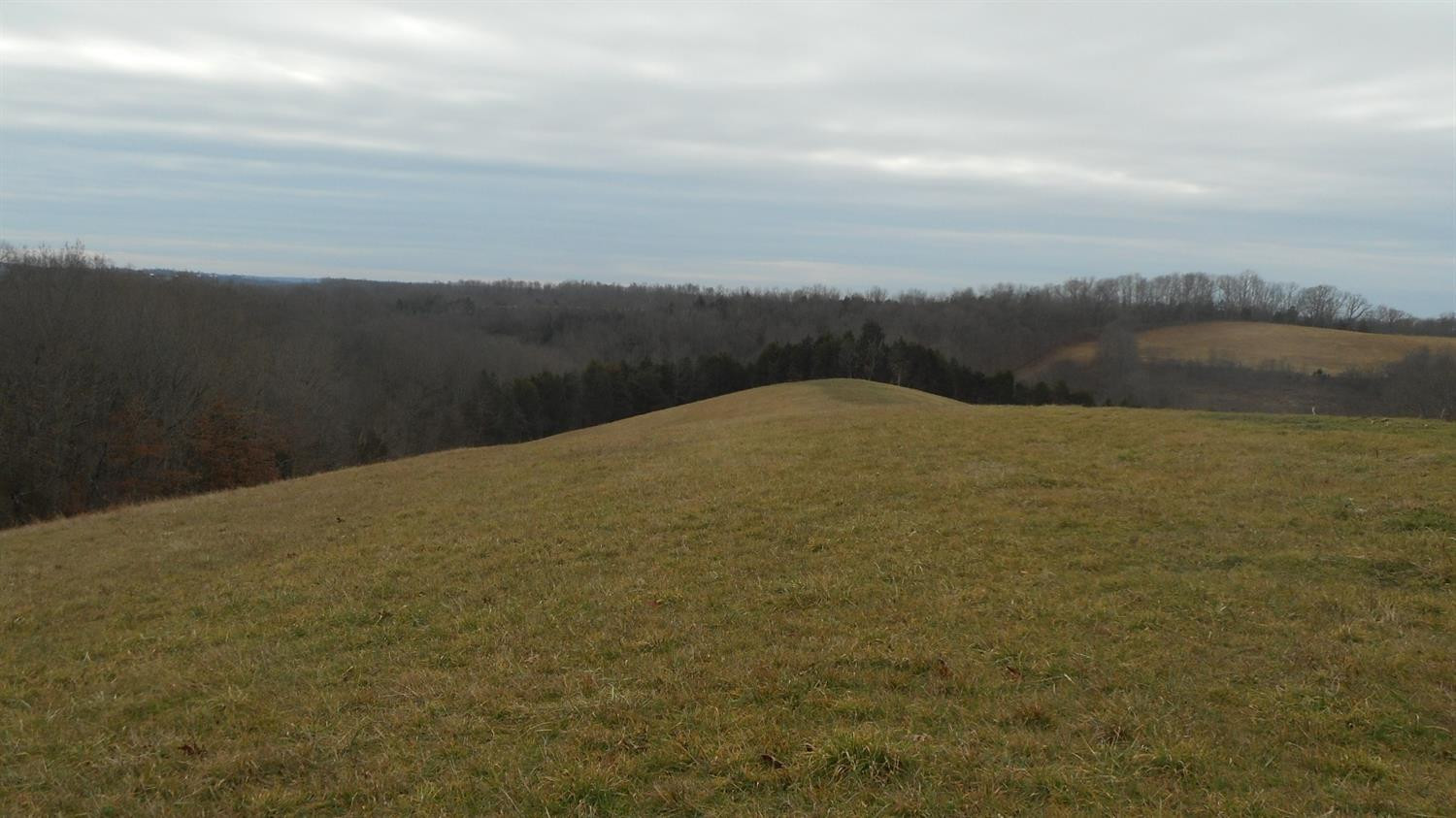 4 Ogden Ridge Road Mount Olivet, KY 41064 - Photo 3 of 3 Photo 3