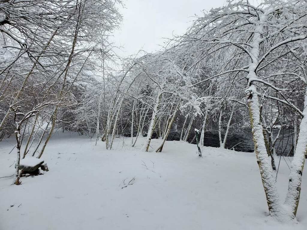 399 Danforth Street Taunton, MA 02780 - Photo 5 of 18