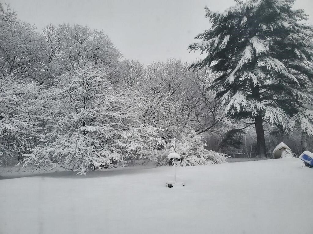 399 Danforth Street Taunton, MA 02780 - Photo 6 of 18