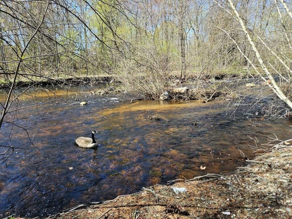 399 Danforth Street Taunton, MA 02780 - Photo 7 of 23