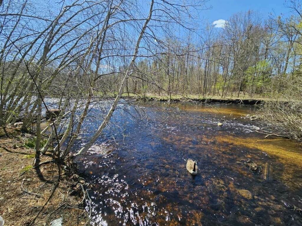 399 Danforth Street Taunton, MA 02780 - Photo 8 of 23