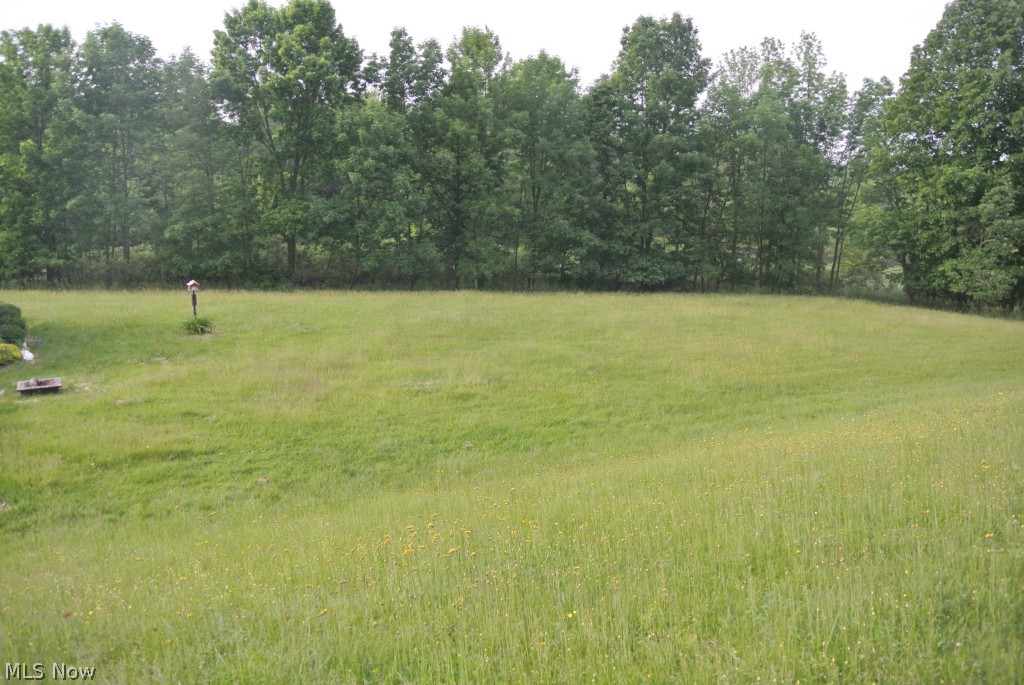 4793 Young Road Stow, OH 44224 - Photo 22 of 22 Small house back yard