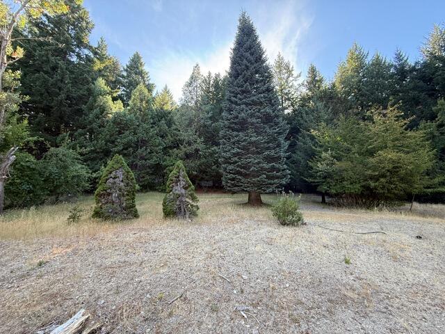 4149 Wilder Ridge Road Garberville, CA 95542 - Photo 5 of 23