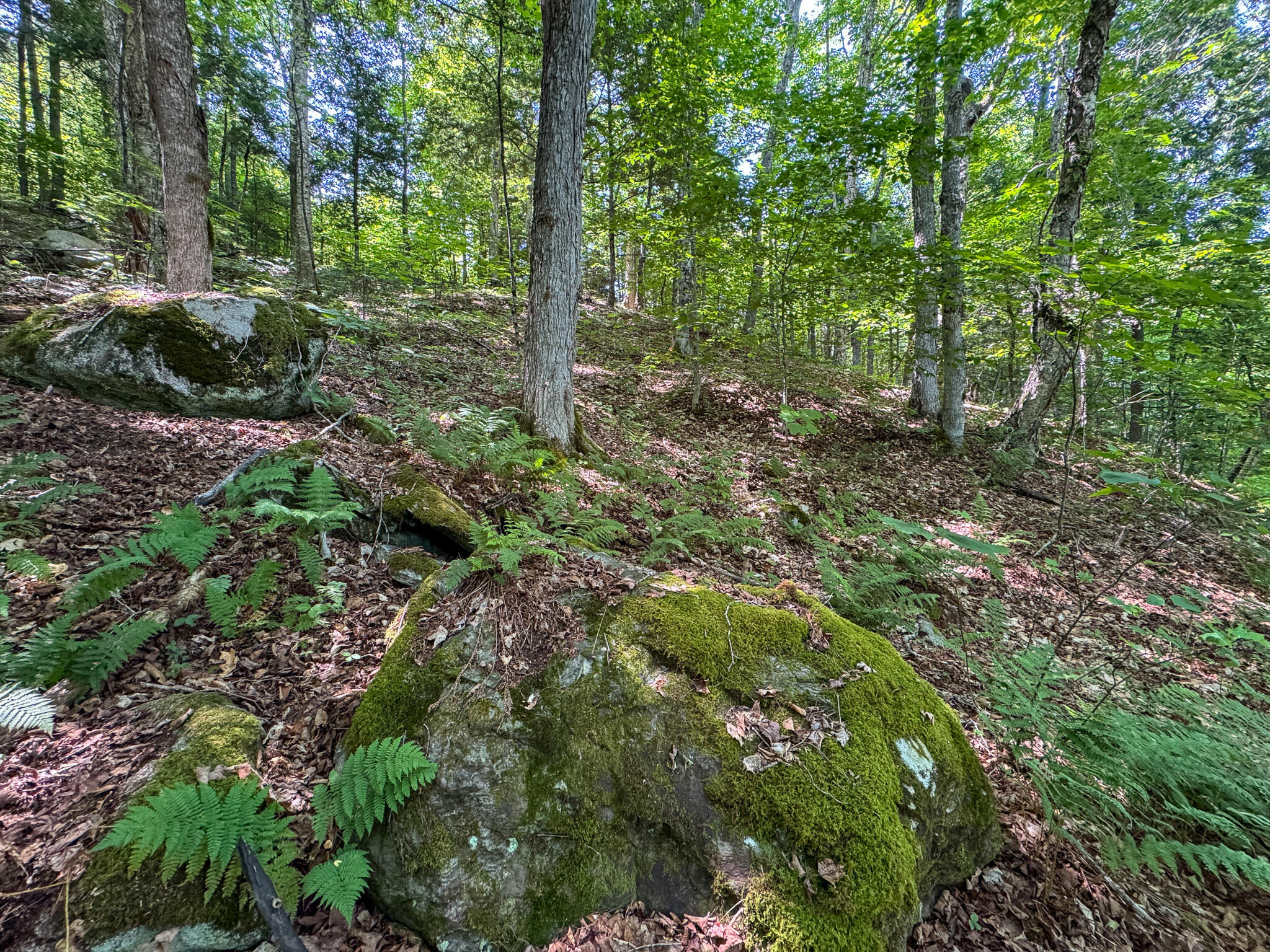50 Wilderness Park Road Winn, ME 04495 - Photo 25 of 30 IMG_6812