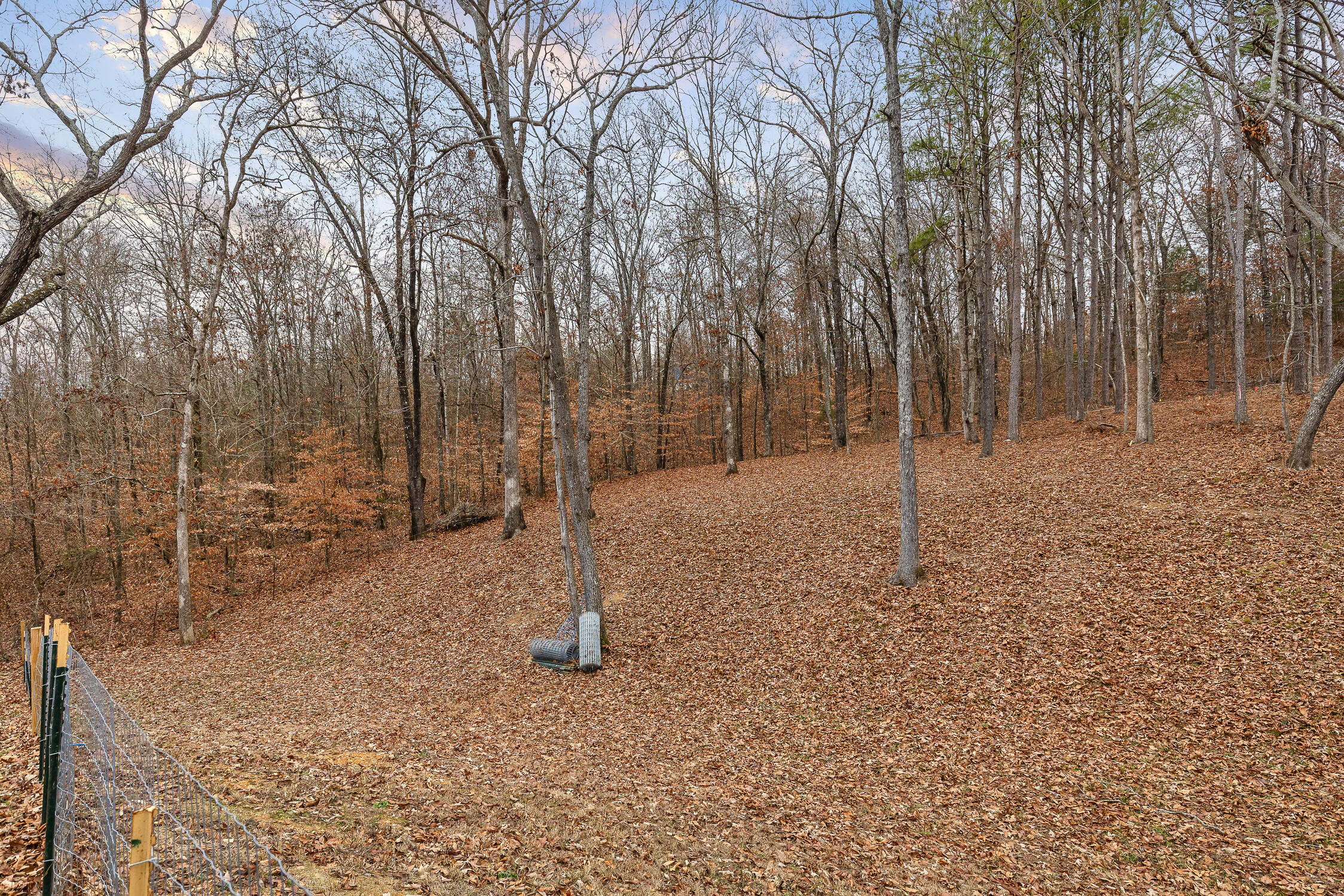 328 Rochelle Circle Northeast Charleston, TN 37310 - Photo 40 of 63 Rochelle-22