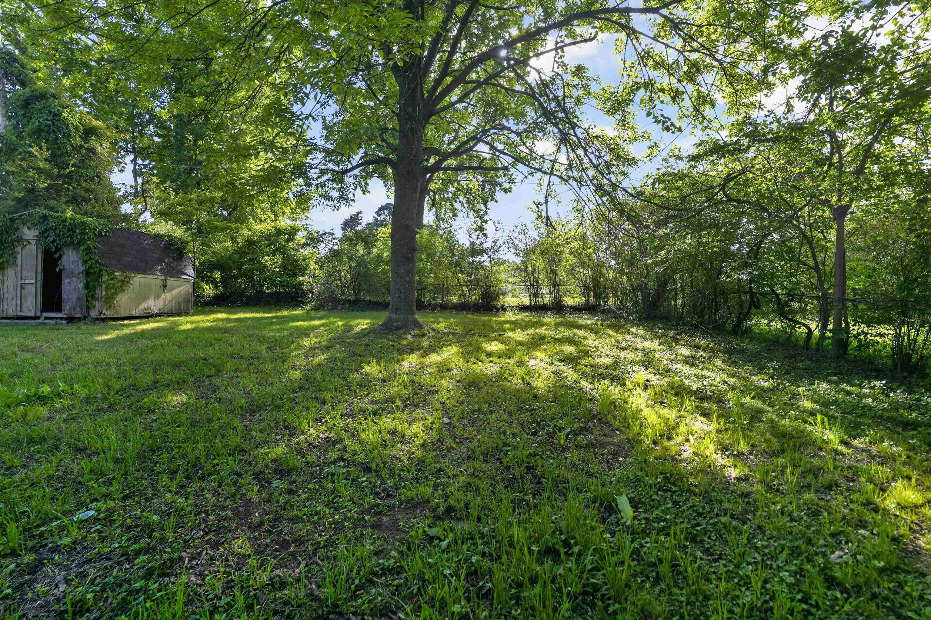 5124 Gill Road Memphis, TN 38109 - Photo 4 of 33 Expansive green space featuring a mature tree, natural foliage, and a rustic storage shed