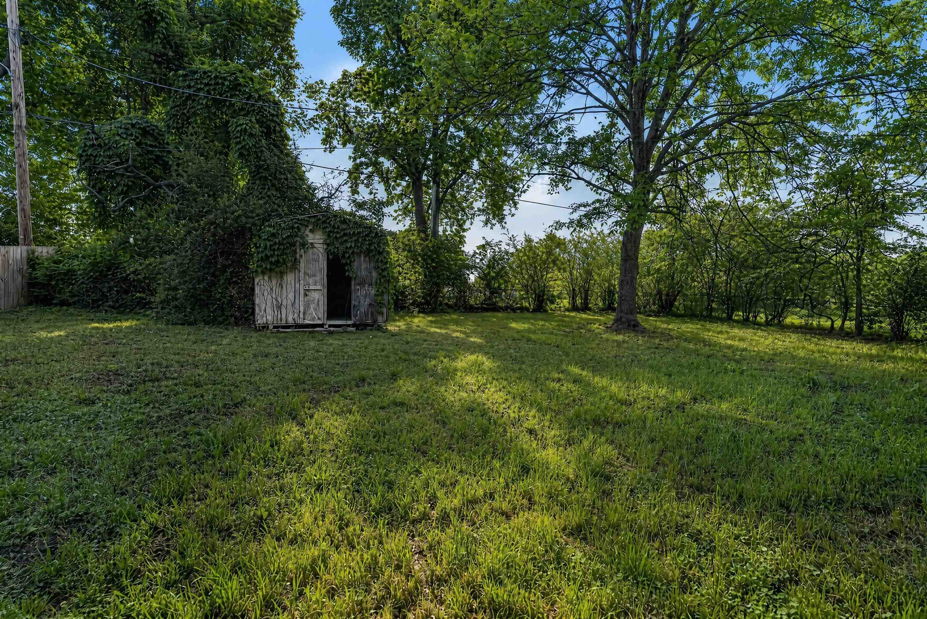 5124 Gill Road Memphis, TN 38109 - Photo 10 of 33 Expansive grassy yard featuring mature trees and a weathered wooden storage shed