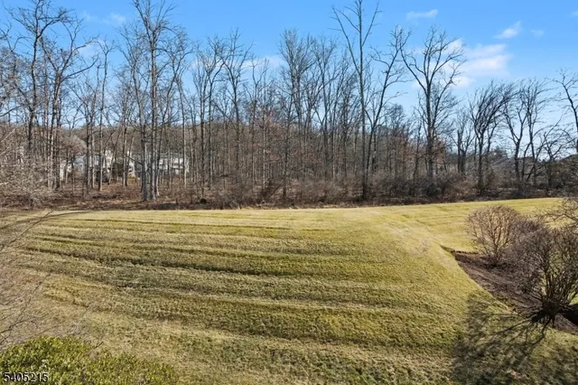 a view of swimming pool with outdoor space