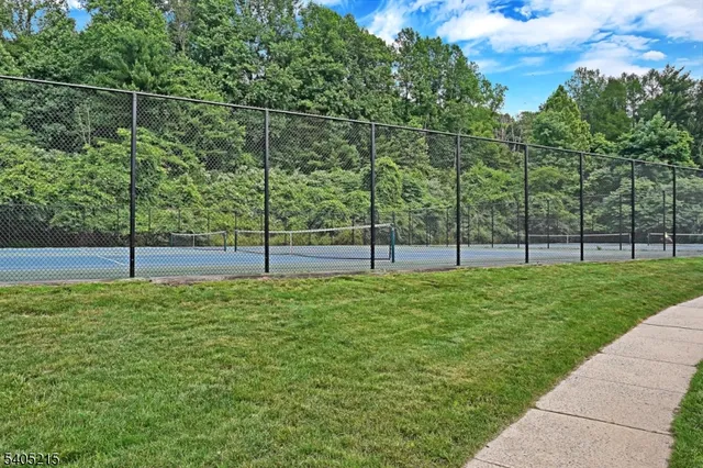 a view of a field with entertaining space
