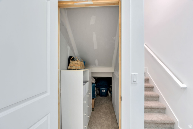 2664 West Maple Street Mapleton, UT 84664 - Photo 35 of 49 Carpeted under-stair storage area with sloped ceiling and white walls