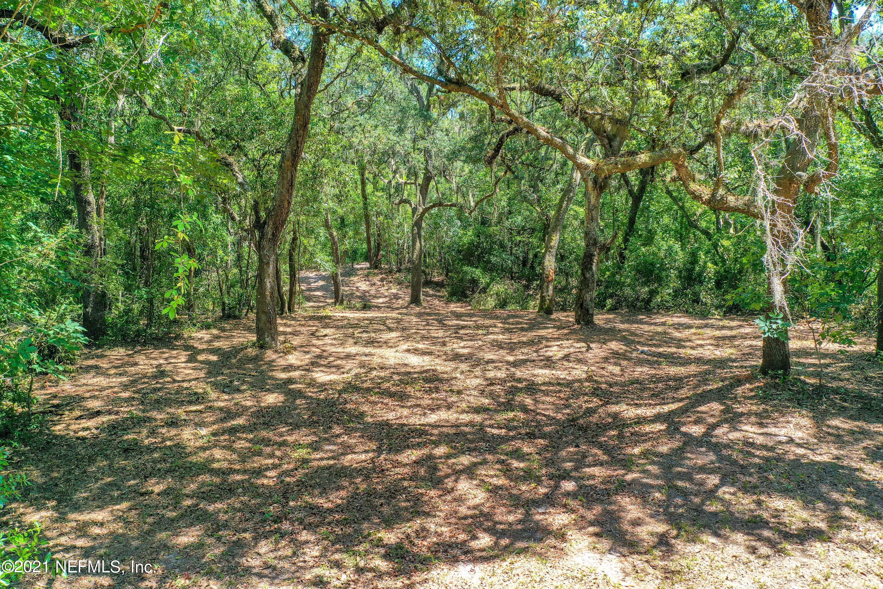 0 Banks Road Middleburg, FL 32068 - Photo 2 of 13 Banks Rd, Middleburg, FL, 32068