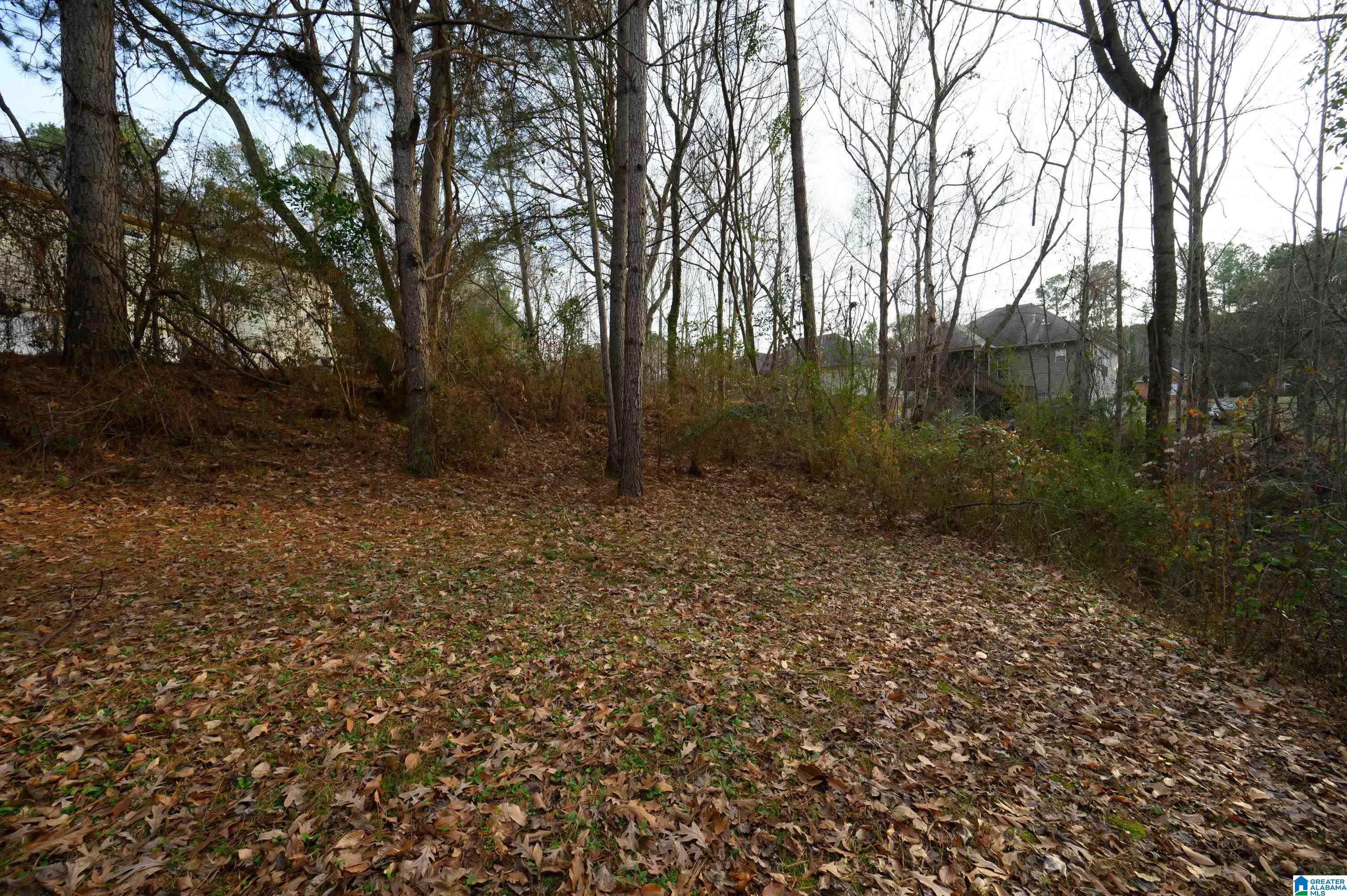 324 Falliston Court Helena, AL 35080 - Photo 56 of 56