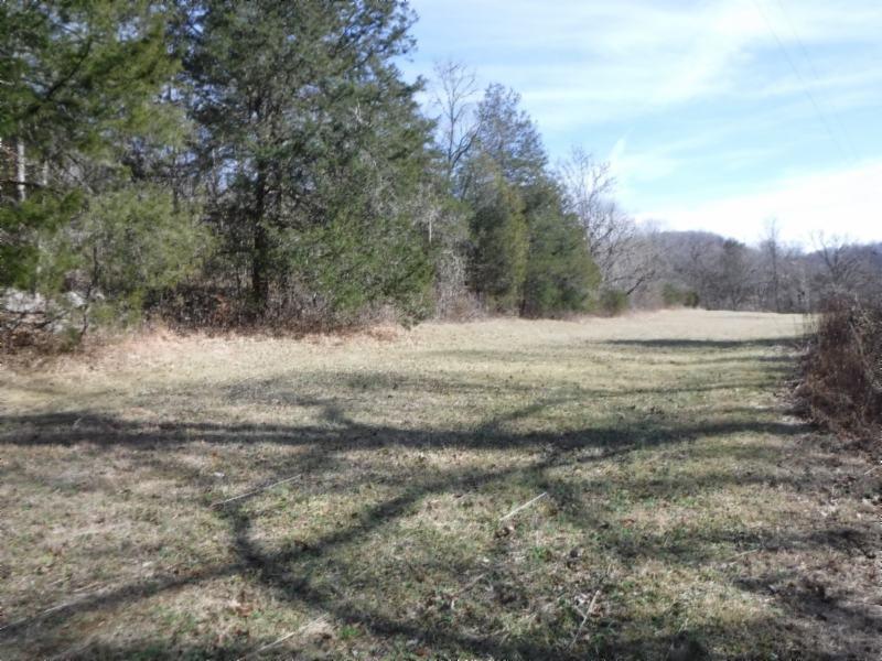 14 Wolf Creek Road Silver Point, TN 38582 - Photo 14 of 29