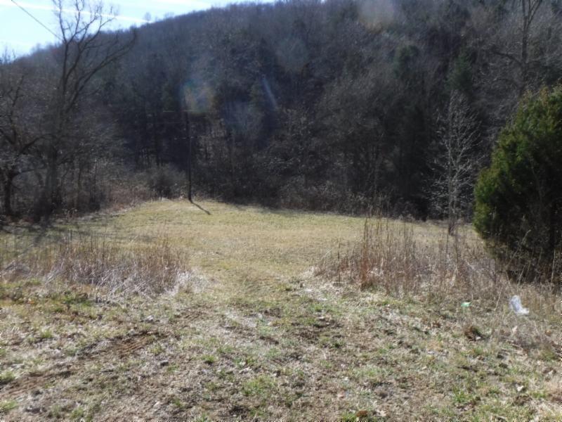 14 Wolf Creek Road Silver Point, TN 38582 - Photo 19 of 29