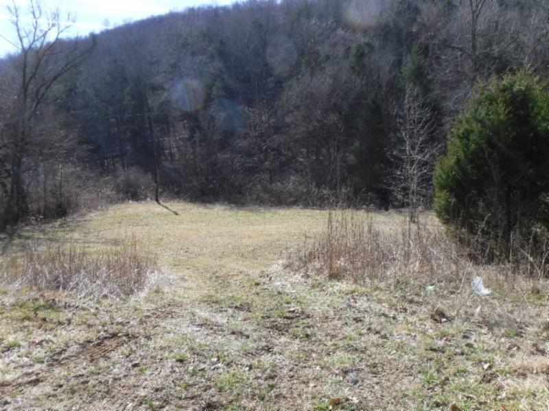14 Wolf Creek Road Silver Point, TN 38582 - Photo 20 of 29