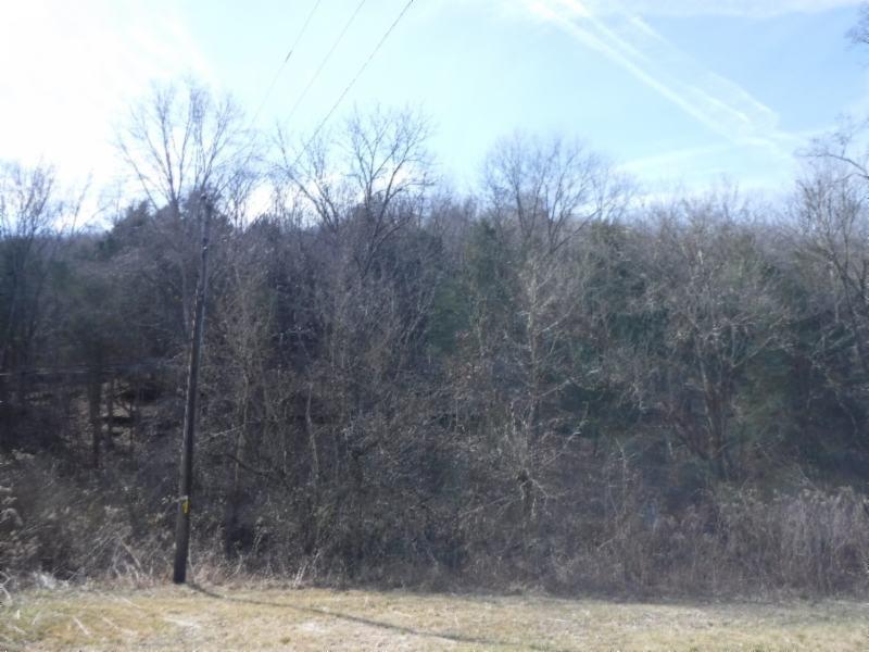 14 Wolf Creek Road Silver Point, TN 38582 - Photo 8 of 29