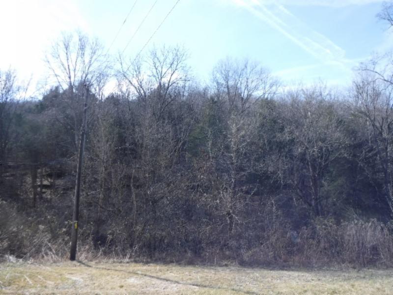 14 Wolf Creek Road Silver Point, TN 38582 - Photo 9 of 29