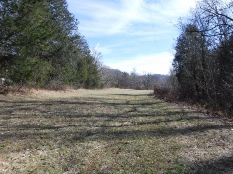 14 Wolf Creek Road Silver Point, TN 38582 - Photo 10 of 29