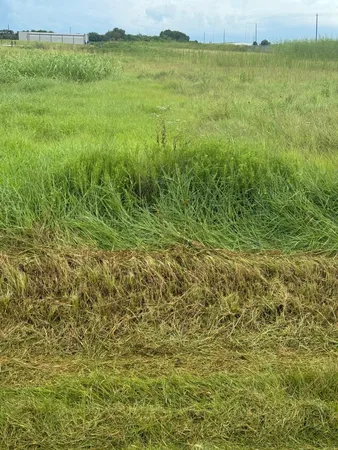 a view of an ocean from a yard