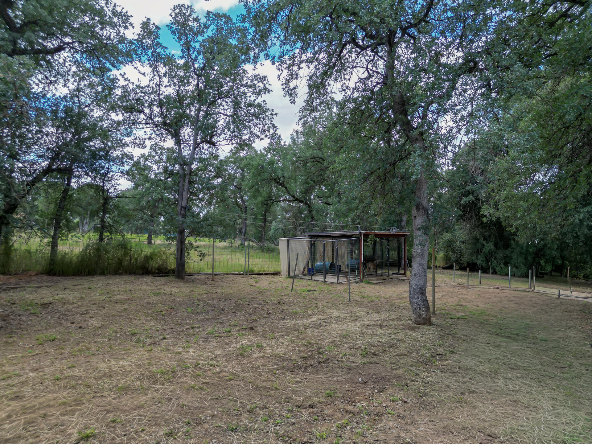 18080 Benson Road Cottonwood, CA 96022 - Photo 41 of 54 a backyard of a house with lots of green space