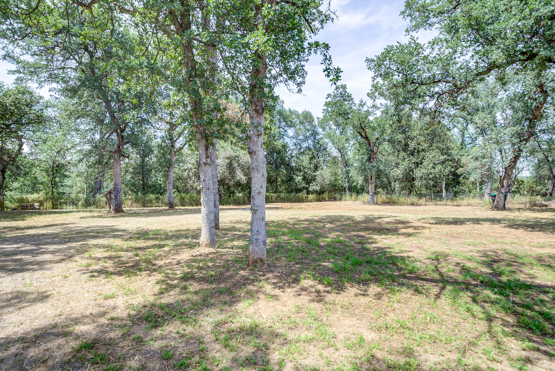 18080 Benson Road Cottonwood, CA 96022 - Photo 47 of 54 Land