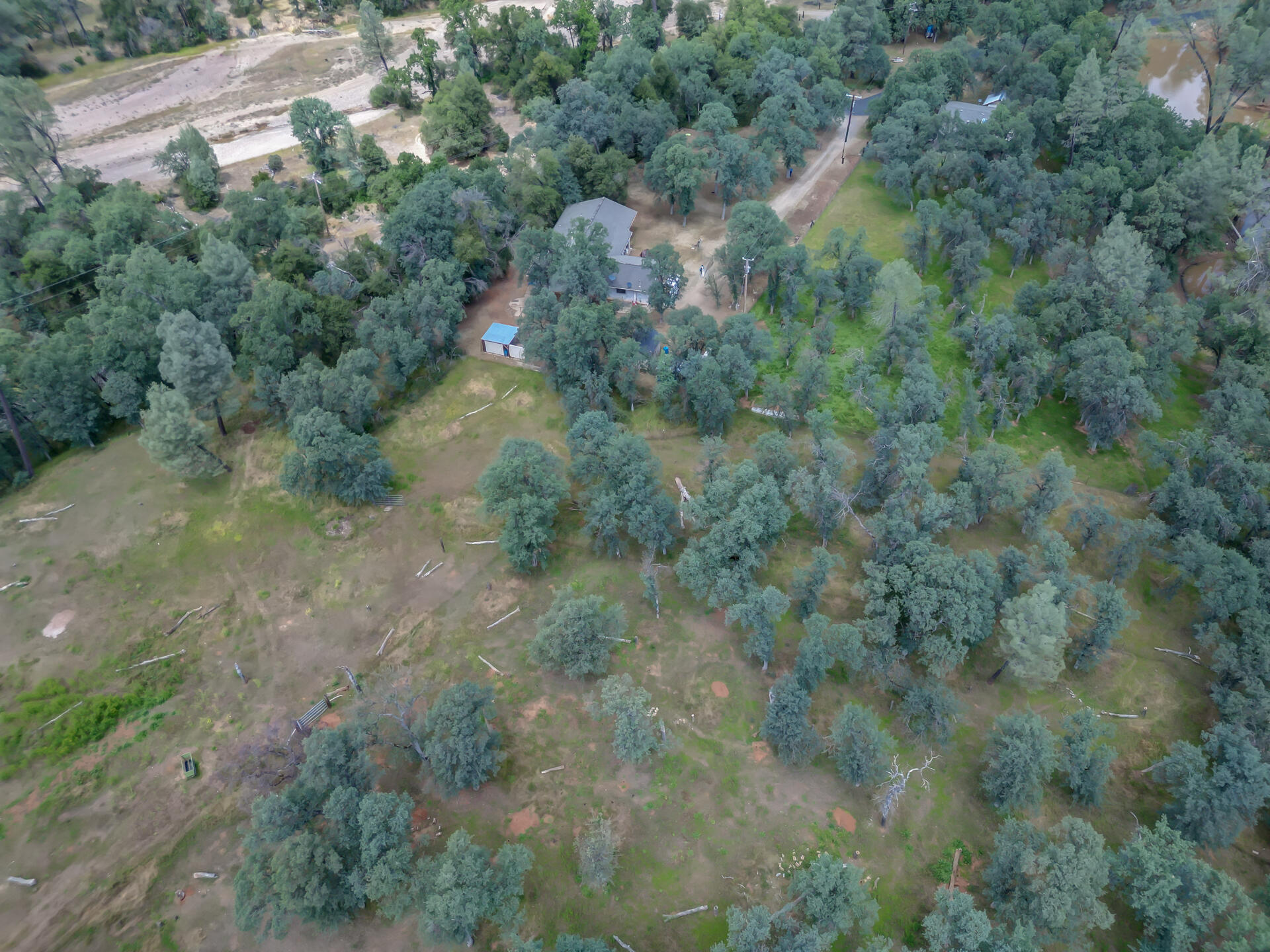 18080 Benson Road Cottonwood, CA 96022 - Photo 54 of 54 a view of a forest with a houses