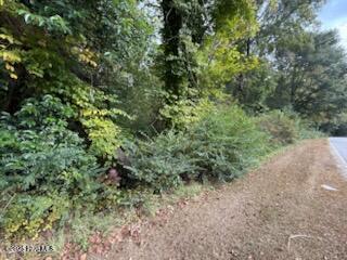2 Galestown Road Rockingham, NC 28379 - Photo 5 of 5 A5677F2F-EBC6-4AB5-A142-D87238427997