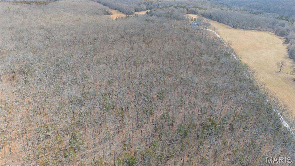 0 County Road 2190 St. James, MO 65559 - Photo 19 of 22