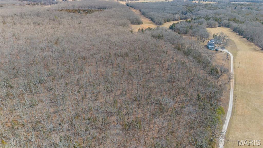 0 County Road 2190 St. James, MO 65559 - Photo 4 of 22