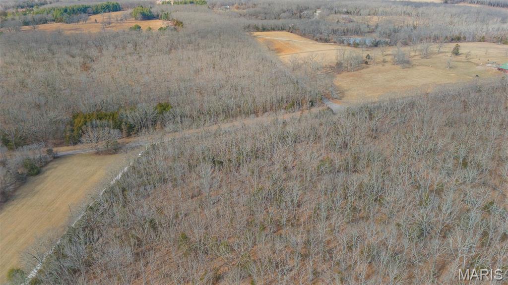 0 County Road 2190 St. James, MO 65559 - Photo 7 of 22