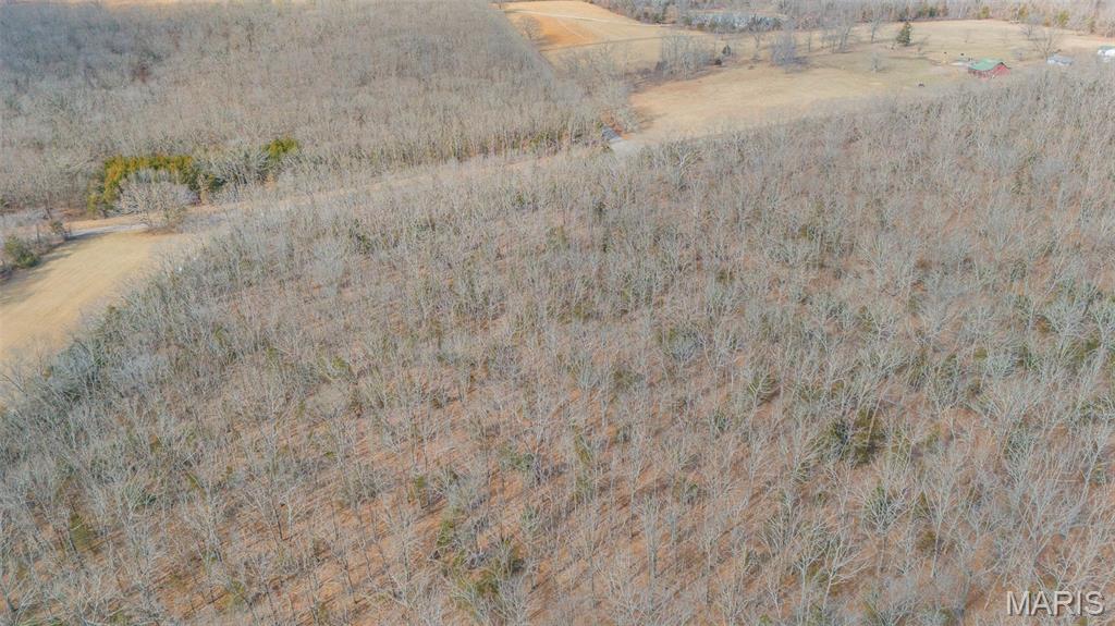 0 County Road 2190 St. James, MO 65559 - Photo 8 of 22