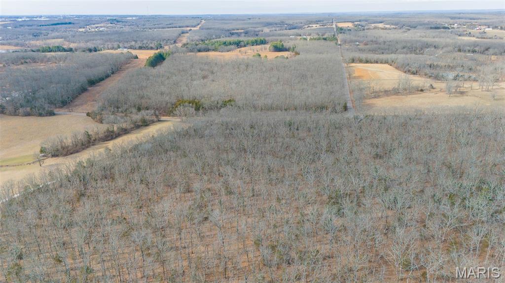 0 County Road 2190 St. James, MO 65559 - Photo 10 of 22