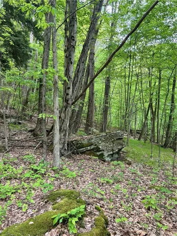 $349,900 | 512 County Highway 18, Butternuts, NY 13776