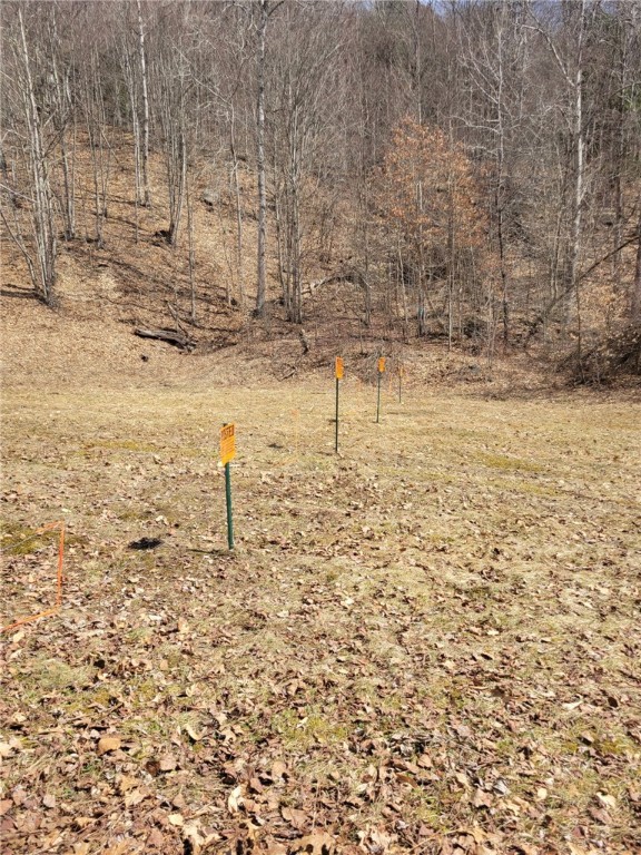 512 County Highway 18 Butternuts, NY 13776 - Photo 12 of 23