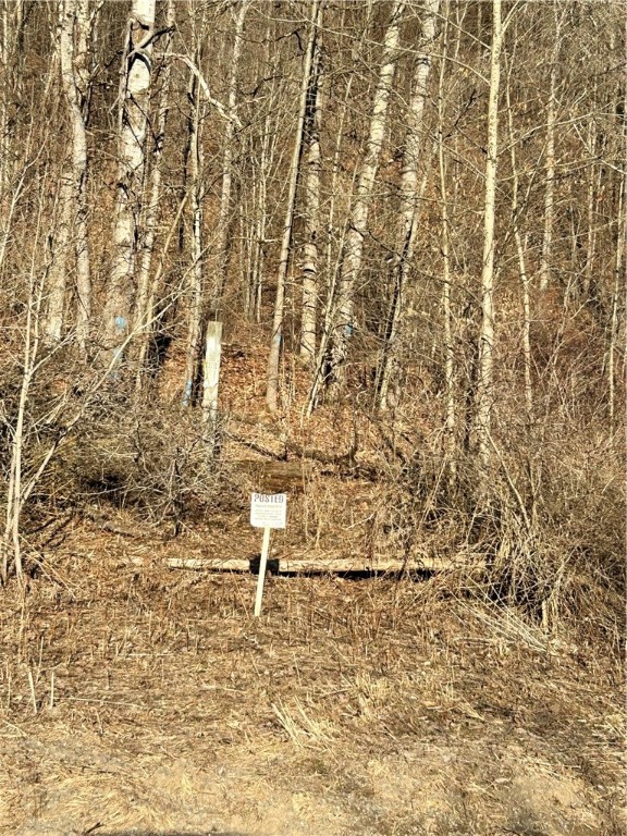 512 County Highway 18 Butternuts, NY 13776 - Photo 13 of 23