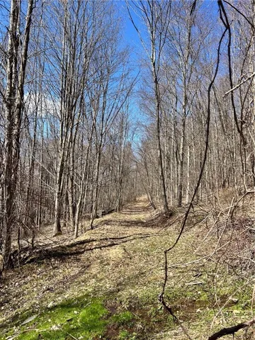 $349,900 | 512 County Highway 18, Butternuts, NY 13776