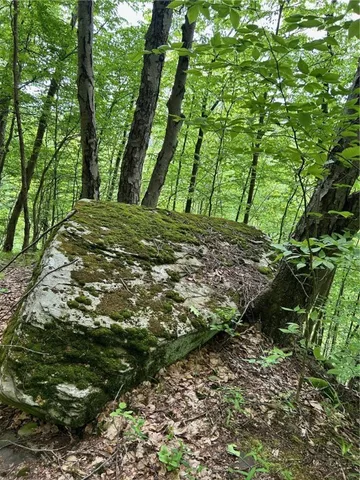 $349,900 | 512 County Highway 18, Butternuts, NY 13776