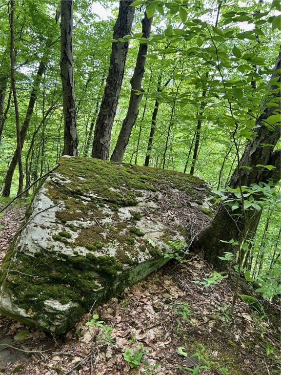 512 County Highway 18 Butternuts, NY 13776 - Photo 19 of 23