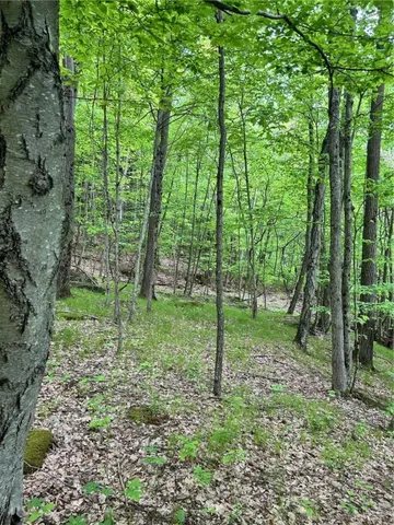 $349,900 | 512 County Highway 18, Butternuts, NY 13776