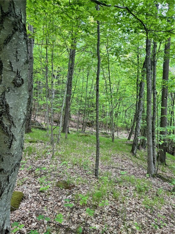 512 County Highway 18 Butternuts, NY 13776 - Photo 20 of 23