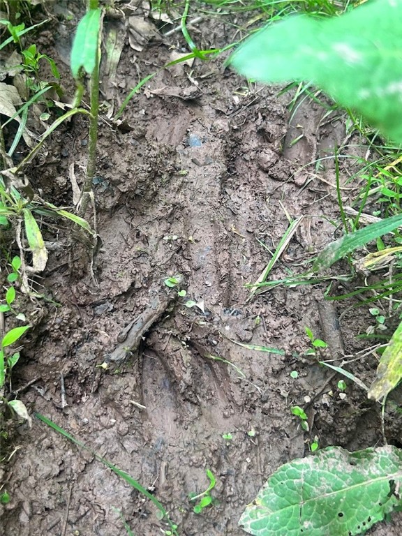 512 County Highway 18 Butternuts, NY 13776 - Photo 2 of 23