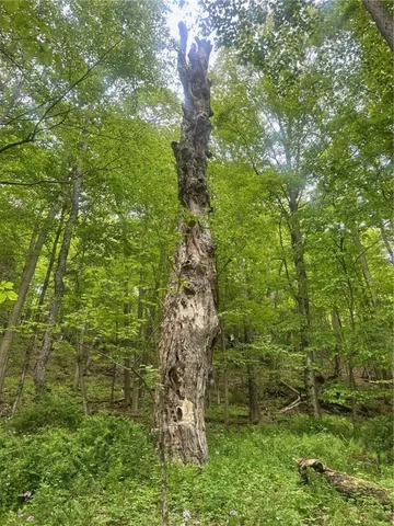 $349,900 | 512 County Highway 18, Butternuts, NY 13776