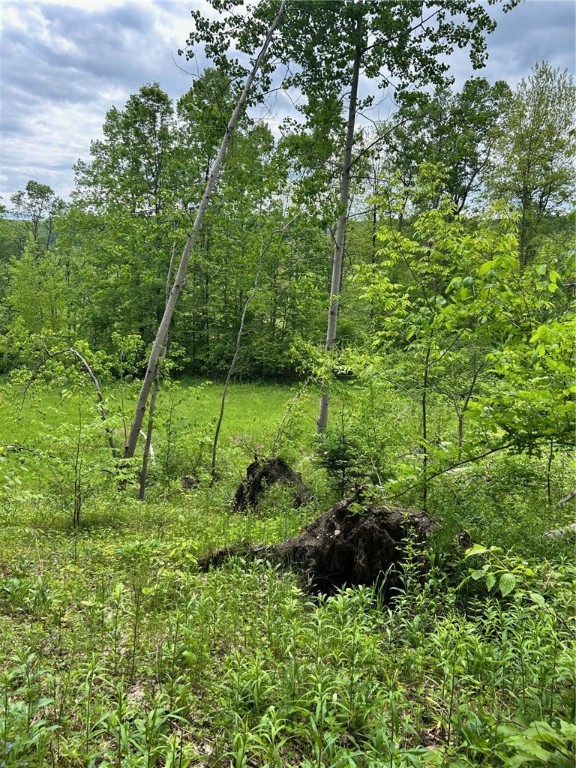 512 County Highway 18 Butternuts, NY 13776 - Photo 3 of 23