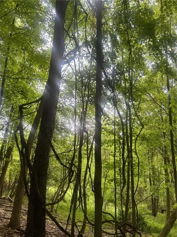 $349,900 | 512 County Highway 18, Butternuts, NY 13776