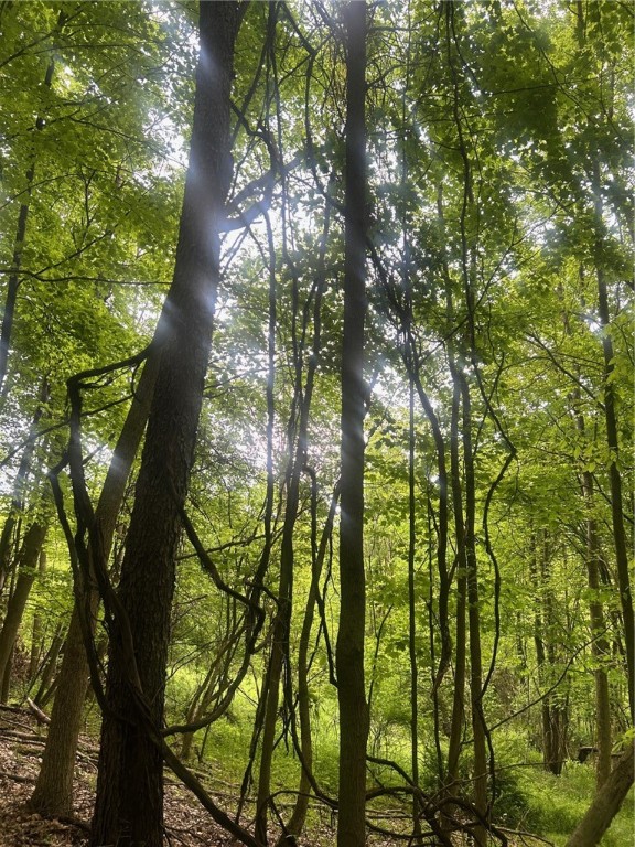 512 County Highway 18 Butternuts, NY 13776 - Photo 4 of 23