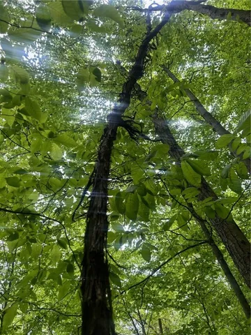 $349,900 | 512 County Highway 18, Butternuts, NY 13776