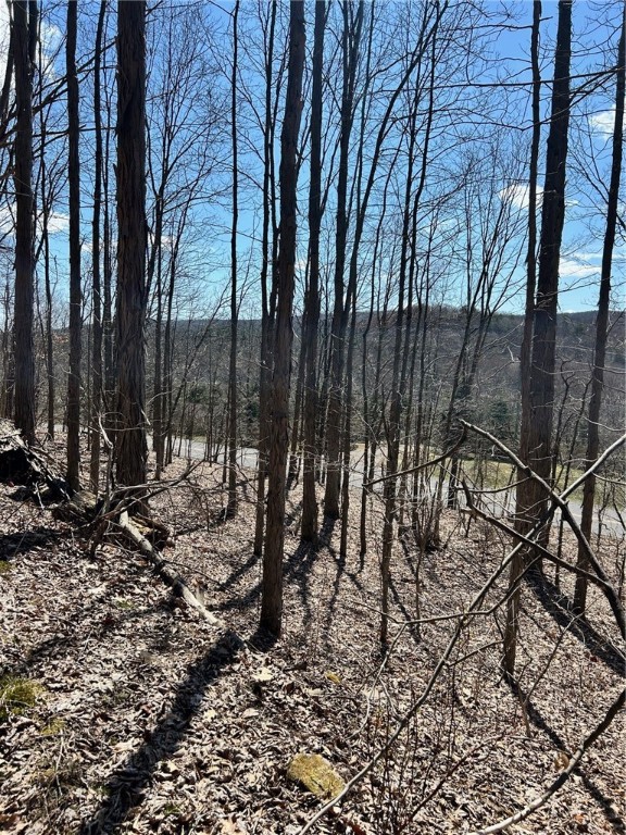 512 County Highway 18 Butternuts, NY 13776 - Photo 8 of 23 Many trails throughout property.
